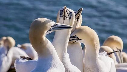 世界杯比赛直播官网下载-澳网公开赛因高温暂停